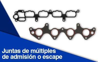 categoria 4